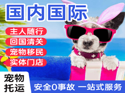 阆中古城机场快运国际宠物托运 【国